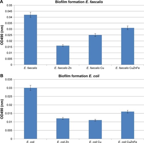 Figure 6 Ability of (A) Enterococcus faecalis (E. faecalis) and (B) Escherichia coli (E. coli) in nutrient broth to form biofilm after incubation with 150 µg/mL of metal nanoparticles as demonstrated by absorbance at 490 nm wavelength in a spectrophotometric reading.