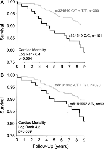 Figure 2.  CHRM2 rs324640 (A) and rs8191992 (B) gene polymorphisms as predictors of cardiac death in Kaplan-Meier survival analysis. P-value=statistical significance of log rank.