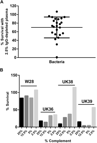 Fig. 1 a Percentage of survival of B. pertussis strains when incubated with 2.5% IgG-depleted human plasma for 1 h. Bars = mean and standard deviation. b Percentage of survival of B. pertussis strains, Wellcome 28 (W28), UK36, UK38 and UK39, following incubation with either 25, 12.5, 5 or 2.5% IgG-depleted human plasma for 1 h