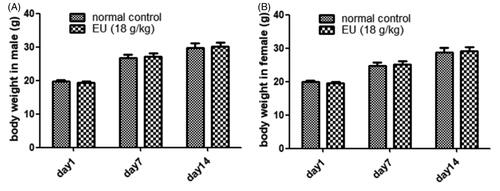 Figure 1. Effects of oral EU on body weight (g). (A) Male mice treated with EU in acute toxicity test. Data are means ± SD (N = 10). (B) Female mice treated with EU in acute toxicity test. Data are means ± SD (N = 10).
