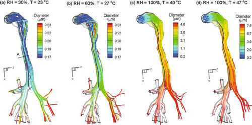 FIG. 10 Droplet trajectories colored according to transient size for inhalation conditions (a) Case 1, (b) Case 2, (c) Case 3, and (d) Case 4.