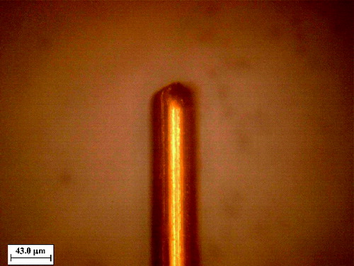 FIG. 1. Micrograph of the tip of discharge electrode of the charge of Chien et al. (Citation2011).