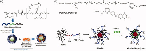 Figure 10. (a) Schematics of PEOz-PLA-PEI micelles for DNA delivery (Gaspar et al., Citation2015). Copyright 2015, Elsevier. (b) Chemical structure of PEI − PCL − PEG − Fol and schematic illustration of the micelle-like polyplex formation (Liu et al., Citation2016). Copyright 2015, American Chemical Society. Reprinted with permission.