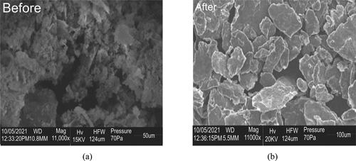 Figure 2. MCAC SEM micrographs (a) before adsorption of Ni(II) and (b) after.