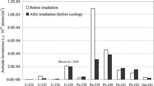 Figure 9. Calculated actinide inventories before irradiation and those after irradiation before cooling in the 2nd region of H14 (T).