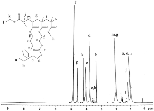 Figure 3. 1H NMR spectrum of MPBHM.