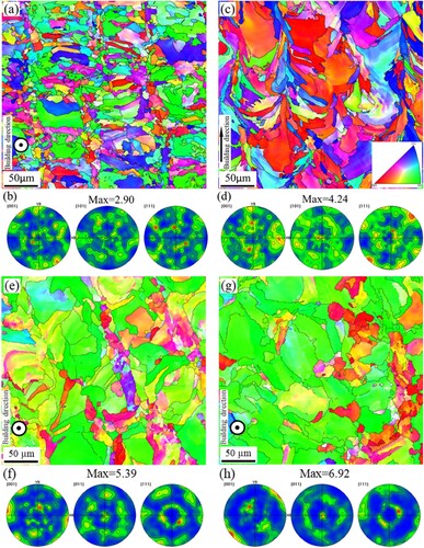 Figure 2. EBSD analysis of AM samples, (a, c, e, g) IPF images with grain boundaries and (b, d, f, h) PF images: (a, b) the AM sample with plane perpendicular to and (c, d) the plane parallel to the building direction, (e, f) the AM-450 sample with plane perpendicular to the building direction and (g, h) the AM-1100 sample with plane perpendicular to the building direction.