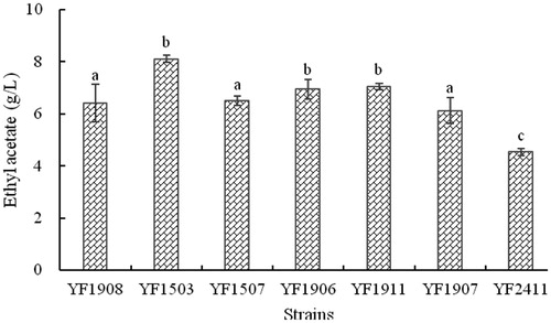 Figure 1. Concentration of ethyl acetate in the fermentation broth after fermentation by different yeasts.