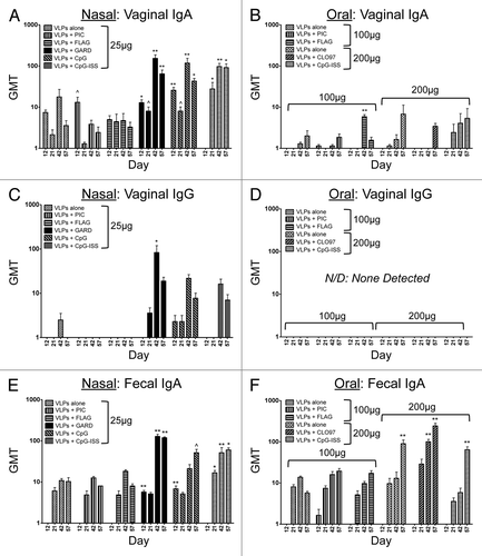 Figure 2. Longitudinal evaluation of VLP-specific immunoglobulins (IgG, IgA) in vaginal lavages and fecal pellets from mice after nasal or oral vaccination. Antibody titers following nasal (A, C, and E) or oral (B, D, and F) co-delivery of VLPs with a panel of TLR agonists. Nasal vaccinations were performed using 25 μg of VLPs per dose, while oral vaccinations were performed using 100–200 μg of VLPs per dose. The panel of TLR agonists included PIC (TLR3), FLAG (TLR5), GARD (TLR7), CpG (TLR9), CpG-ISS (TLR9, alternate CpG motif), and CL097 (TLR7/8). Geometric mean titers (GMT) of all serum samples were determined by ELISA. Immunoglobulins analyzed in mucosal samples included vaginal IgA (A and B), vaginal IgG (C and D) and fecal IgA (E and F). One-way ANOVA and the Dunn post-hoc tests were performed between each mucosal sample and samples collected from mock-immunized mice. Statistical significance: ^P < 0.05, *P < 0.01, **P < 0.001.