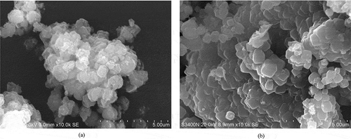 9. SEM photographs of the zeolite samples synthesized from CFA without the Si/Al ratio adjustment (a) and with Si/Al ratio adjustment (b) at laboratory-scale experimentation.