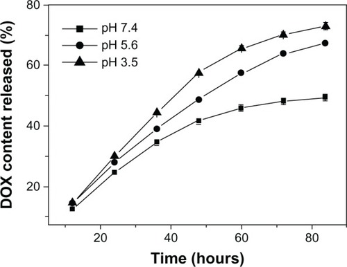 Figure 6 DOX release from TfDMP at different pH levels.Note: TfDMP in phosphate-buffered saline solution at 37°C.Abbreviations: DOX, doxorubicin; TfDMP, doxorubicin-coupled dual-function magnetic nanoparticle with immobilized transferrin; h, hours.