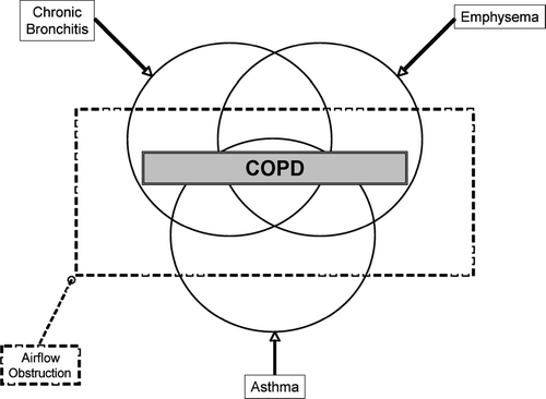 Figure 1 The classic Venn diagram used to describe the overlapping disease entities included in the definition of COPD (Source: (3), Fig. 1, p. 578).