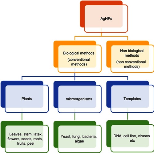 Figure 2 Various approaches to the synthesis of Ag nanoparticles (NPs).