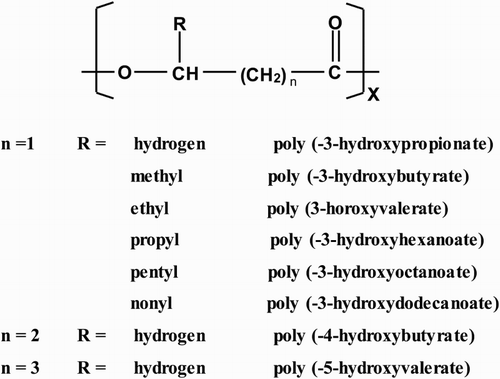 Figure 1. The general molecular structure of polyhydroxyalkanoates.