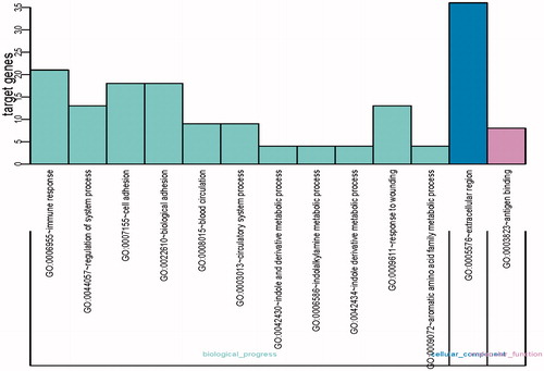Figure 2. The top 13 most significantly enriched GO terms of DEGs according to the P value.