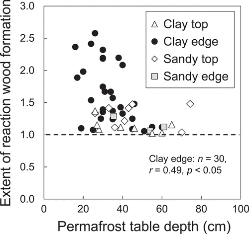 Figure 5. Relationships between the extent of reaction wood formation and permafrost table depth (active layer thickness) at lower elevation of mound edges and tops in clayey and sandy soils