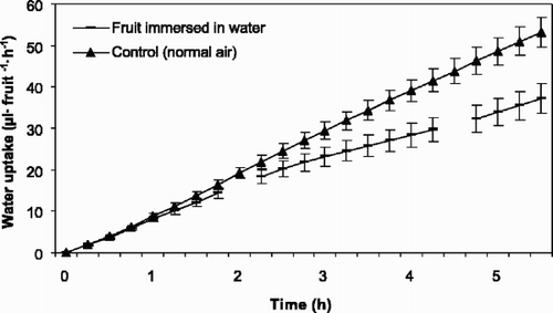 Fig. 3 Accumulated water uptake through the pedicels of fruit of sweet cherry ‘Merton Glory’ (1994) kept in air and interrupted by fruit immersion in water for 3 h. The first break in line is when the fruits were immersed in water, while the second break is when the fruits were dried. Vertical bars represent standard error of the means (SE) and each point represents 10 fruits. Regressions describing the data are: (▴) y=–0.69+9.90x, r 2=0.865; (-) y=–0.14+8.21x, r 2=0.840; y=0.98+5.06x, r 2=0.523 and y=3.91+1.54x, r 2=0.090 before, during and after immersion, respectively.