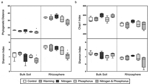 Figure 3. Phylogenetic and ecological diversity in bulk soil and birch rhizosphere microbial communities in arctic mesic birch soil for each experimental treatment group. (a) Average alpha diversity was calculated for bacterial diversity using PD and Shannon index—that is, the combination of richness plus evenness (SD)—and (b) fungal diversity was calculated using the Chao1 index and Shannon index (SD; n = 5). Asterisks indicate that the treatment group was significantly different from controls (p < .05). No significant relative abundance differences were found between treatments in fungal communities (p > .05) .