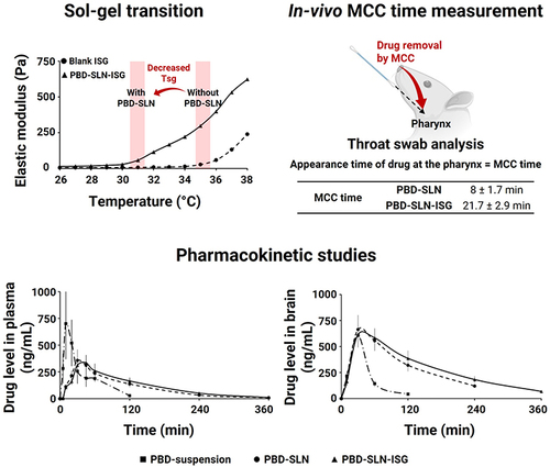 Figure 8 Sol-gel transition behavior, in-vivo comparative MCC time, and pharmacokinetic studies of piribedil-loaded SLN (RBD-SLN) with a methylcellulose-based temperature-sensitive ISG (PBD-SLN-ISG). Reprinted from Int J Pharm. Volume 606, Uppuluri CT, Ravi PR, Dalvi AV. Design, optimization and pharmacokinetic evaluation of piribedil loaded solid lipid nanoparticles dispersed in nasal in situ gelling system for effective management of Parkinson’s disease. 120881. Copyright 2021, with permission from Elsevier.Citation134