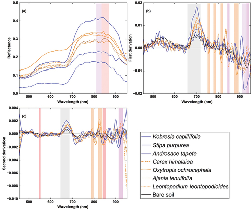 Figure 6. Spectral characteristics of the INWS from UAV hyperspectral sources at our study site. (a) Original reflectance. (b) First derivative reflectance. (c) Second derivative reflectance. The reflectance signatures are blue for native species and orange for INWS.