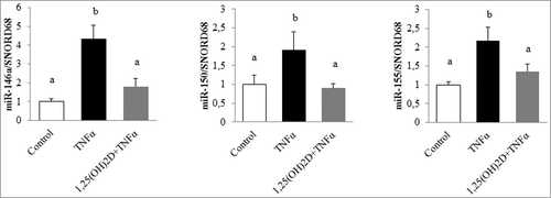 Figure 1. 1,25(OH)2D limits microRNA expression levels in human adipocytes. Human adipocytes were preincubated with 1,25(OH)2D (100 nM) for 24 h followed by a second 24-h incubation with TNFα (15 ng/mL). miR expression levels were quantified through miRNA PCR arrays approach. SNORD68 was used as the endogenous control. The values are presented as means ± SEM. Bars not sharing the same letters are significantly different (P < 0.05). Experiments were performed in triplicate, at least 3 independent times.