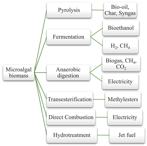 Figure 1. Processing technologies and end products from microalgae biomass (source: Peng et al., Citation2019).