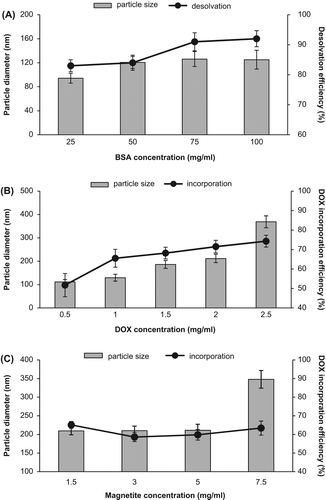Figure 1. Particle size and (A) desolvation efficiency of BSA-NPs at different BSA concentrations; (B) DOX incorporation efficiency of DOX-BSA-NPs at different DOX concentrations; and (C) DOX incorporation efficiency of M-DOX-BSA-NPs at different magnetite concentrations.