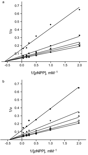Figure 2.  Inhibition kinetics of lupenone (1) and lupeol (2). Panel a shows a Lineweaver−Burk plot of the inhibitory effect of compound 1 on PTP1B−catalyzed hydrolysis of pNPP. Data are expressed as mean initial velocity for n = 3 replicates at each substrate concentration. Symbols: (*) 0 μM, (□) 1 μM, (▾) 5 μM, (▪) 10 μM, (•) 20 μM lupenone (1). Panel b shows a Lineweaver−Burk plot of the inhibitory effect of compound 2 on PTP1B. Data are expressed as mean initial velocity for n = 3 replicates at each substrate concentration. Symbols: (*) 0 μM, (□) 1 μM, (△) 3 μM, (▾) 5 μM, (▪) 10 μM lupeol (2).