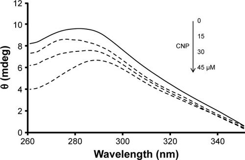 Figure 9 Near UV-CD spectra (260–350 nm) of HHb (15 µM) were measured in the absence and presence of different concentrations of CNPs 15, 30, and 45 µM in phosphate buffer at pH 7.4 and 10 mM at temperature 25°C.