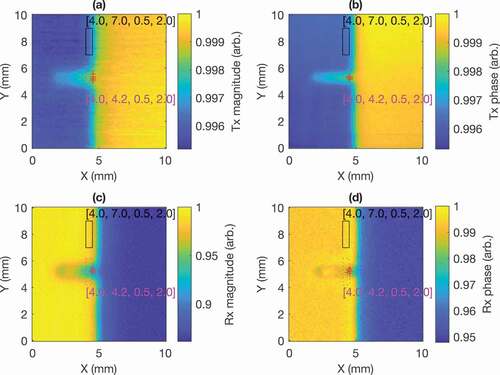 Figure 11. Illustration of the SNR calculation of the scanning results. Shown are the results for 1 MHz, but the regions considered are consistent across all the frequencies considered. The background is defined to be the region in the black box. The noise is taken to be the standard deviation of this region and the average is calculated. This average is used to determine the signal, whereby the signal is taken to be the average of the five largest differences between a value in the magenta box and this average. Here, the plots are normalised and the position of the five signal points are shown as red crosses. As an example, for Tx mag, the five largest differences are 22 x 10−4, 22 x 10−4, 21 x 10−4, 21 × 10−4 and 21 × 10−4. This gives a signal of 21 × 10−4. While, the noise is 14 x 10−4, yielding an SNR of 13.7 dB.