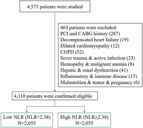 Figure 1. Flow diagram of this study. NLR: neutrophil-to-lymphocyte ratio.