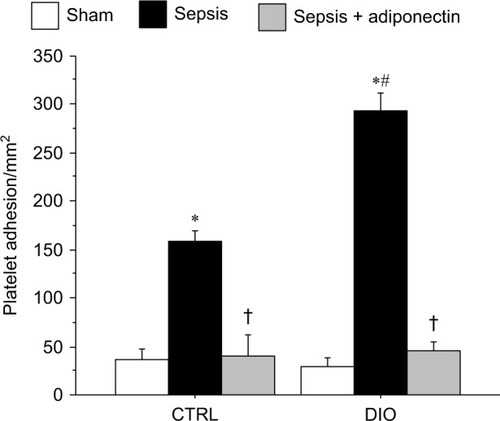 Figure 2 adiponectin decreased platelet adhesion in cerebral microcirculation in CTRl and DIO mice with sepsis.Notes: sepsis-induced platelet adhesion in the cerebral microcirculation followed a similar pattern as in the leukocyte adhesion. There was a significant increase in platelet adhesion in both the DIO and CTRl mice compared to the respective sham control. Moreover, the platelet adhesion was significantly increased in DIO-sepsis mice compared to the CTRl-sepsis mice. In both the CTRl and DIO mice, the platelet adhesion in adiponectin-treated mice was significantly decreased compared to their respective sepsis alone counterparts. Platelet adhesion in the sepsis + adiponectin groups from CTRl vs DIO was not significantly different from one another. *P<0.05 vs respective sham; #P<0.05 vs CTRl sepsis; †P<0.05 vs respective sepsis.Abbreviations: CTRl, control diet; DIO, diet-induced obesity.