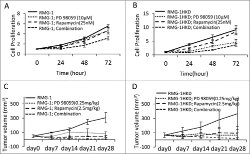 Figure 5. Effect of rapamycin, PD98059, and the combination of rapamycin with PD98059 on the growth of (A, C) RMG-1 and (B, D) RMG-1HKD (A, B) cells in vitro and (C, D) in vivo. (A, B) RMG-1 and RMG-1HKD cells were treated with 10 μM PD98059, 25 nM rapamycin, or both for the indicated periods. Cell proliferation was measured using the WST-8 assay. Injection of rapamycin or PD98059 suppressed the growth of both cell lines, although the growth of RMG-1HKD cells was significantly more sensitive to PD98059 than that of RMG-1 cells. The combination of the 2 drugs synergistically suppressed the growth of both cell lines. (C, D) The cells (density: 5 × 106 cells in 100 μL PBS) were subcutaneously implanted into the backs of female Balb/c nu/nu mice (5 weeks of age). After 1 week, the tumor reached a certain size, as described in the “Materials and Methods” section, and the indicated concentrations of each drug were injected intraperitoneally twice a week for 4 weeks. The tumor volume was recorded once a week for a total of 5 weeks.