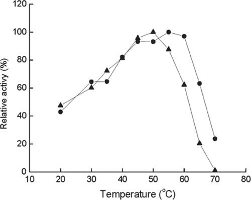 Figure 1. Effect of temperature on the activity of immobilized (•) and free (▴) enzyme at pH 6.5. The highest activity is referred to as 100%.
