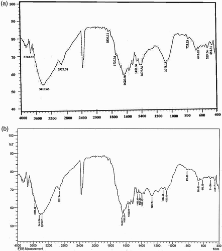 Figure 3. (a) FT-IR spectrum of F. macrocolea flowers aqueous extract. (b) FT-IR spectrum of the synthesized CuNPs.