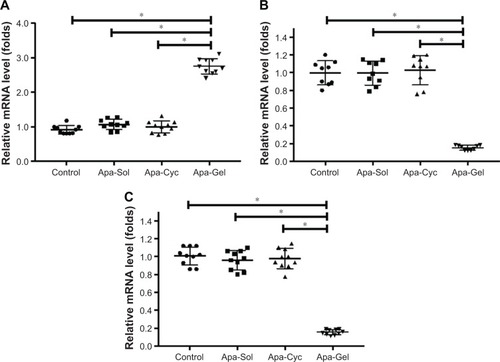 Figure 6 Long-acting antitumor effect of Apa-Gel formulations on the EMT process of MHCC97-H cells.