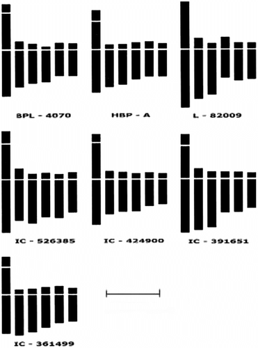 Figure 2 Ideograms of somatic metaphase chromosomes of Vicia faba L. Note the absence of a satellite arm in var. L-82009. Scale bar = 10 μm.