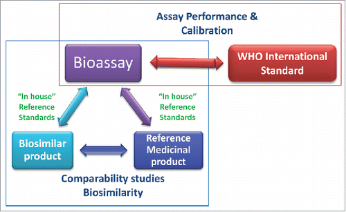 Figure 1. The roles of the WHO international standards (IS) and the reference medicinal product (RMP) in relation to the bioassay. The WHO IS supports bioassay performance and calibration. Bioassays are used as part of the comparability studies to demonstrate biosimilarity between the biosimilar product and the RMP.