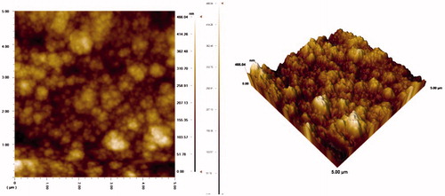 Figure 5. The AFM of Pt/PPy–DBS electrode.