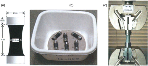 Figure 3. Asphalt mastic cohesive strength test. (a) Specimen dimensions, (b) samples in water bath, and (c) tensile strength test set.