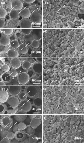 Figure 5. SEM of the porous ceramic with different MASHSs addition after sintering at 1700°C. [(a, f) HS0 sample; (b, g) HS5 sample; (c, h) HS10 sample; (d, i) HS15 sample; (e, j) HS20 sample].