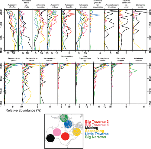 Figure 7. Stratigraphies of the relative abundance of dominant diatom taxa identified in sediment cores from Lake of the Woods. Interval dates represent a constant-rate-of-supply age model applied to the 210Pb data. Taxa shown occurred at a relative abundance of at least 4% in at least one sample in any core. Note that x-axes vary in scale.