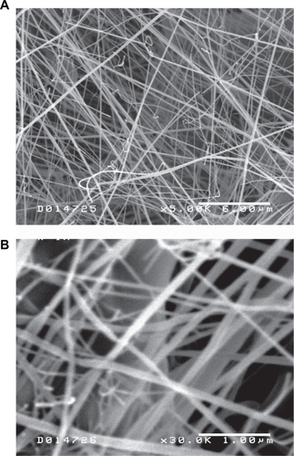 Figure 1 Scanning electron microscope images of poly(DL-lactide-co-glycolide) nanofibers at 5000× magnification (A) and 30,000× magnification (B). The polymer fiber diameter was slightly variable with a mean diameter of approximately 100 nm.