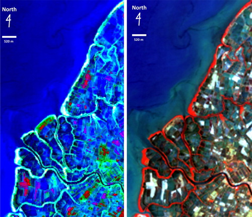 Figure 7. Processed image of mangrove forest in Maros Regency using PPS indices multi-bands (left) and conventional RGB (542) multi-bands without transformation (right).