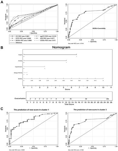 Figure 4 The discrimination and validation of new score in training cohort. (A) ROC analysis for each indice (CCI, age adjusted CCI, ADO, COTE, CODEx and BODEx) to predict acute exacerbation of COPD in a year and new score (combination of BODEx and comorbidity profile). CCI index concludes 13 kinds of comorbidities. Age adjusted CCI index concludes CCI index and age. ADO index concludes age, pulmonary function (FEV1%) and dyspnea score (mMRC score). COTE index concludes 12 comorbidities (Solid organ tumors, Anxiety, Cirrhosis, Atrial Fibrillation, Atrial flutter, Diabetes with Neuropathy, Pulmonary Fibrosis, Congestive Heart Failure, Gastroduodenal Ulcer, Coronary Artery Disease). CODEx index concludes age adjusted CCI, airflow obstruction (FEV1%), dyspnea score (mMRC score), history of severe exacerbation (hospitalization history). BODEx index was composed of BMI, airflow obstruction (FEV1%), dyspnea score (mMRC score) and history of severe exacerbation (hospitalization history). (B) Nomogram plot describe the composition of new score to predict exacerbation in patients with COPD by calculating each individuals’ exacerbation risk. First, we locate the range of each variable on the horizontal scale, and draw a line vertically to the bottom scores line to determine the corresponding points. Then we sum up the points of all of the five variables and locate the total score on the total score line. Finally, we draw a vertical line from the dot on the total score line to three upward risk probability to predict the risk of exacerbation. (C) ROC analysis for the new score to predict acute exacerbation in population of cluster 1 and cluster 3.