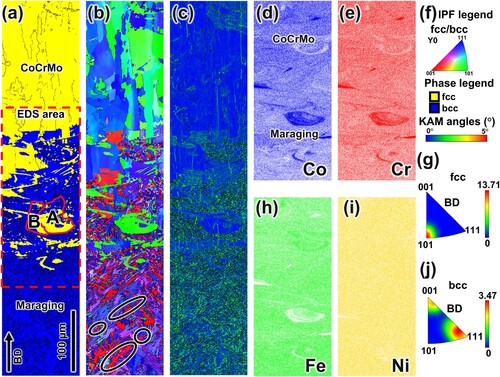 Figure 3. Texture development in the transition zone of the as-built sample: (a) phase map showing fcc and bcc structures, (b) inverse pole figure colour map, (c) kernel average misorientation maps, (d,e,h,i) EDS maps for Co, Cr, Fe and Ni, respectively, (f) corresponding legends for a–c, (g) IPF representation of fcc grains and (j) IPF representation of bcc grains.