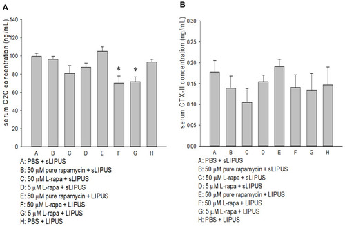 Figure 9 (A) L-rapa at 5 μM and 50 μM cooperated with LIPUS reduced serum C2C level in spontaneous OA Dunkin-Hartley guinea pigs. (B) Pure rapamycin and L-rapa with or without LIPUS did not significantly affect serum CPX-II level in the guinea pigs (*P<0.05, by one-way ANOVA; Group A: n=5, Groups B~G: n=8, Group H: n=3).