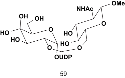 Scheme 31.  Multisubstrate for β-1,4-galactosyltransferase.