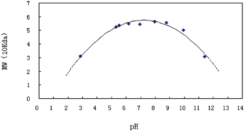 Figure 8. Effect of pH on the molecular weight of bHb. Molecular weights at 1.85 mg/mL of bHb, calculated by the Debey plot, is plotted against pH of the buffer, 0.15 M NaCl and 0.05 M phosphate.