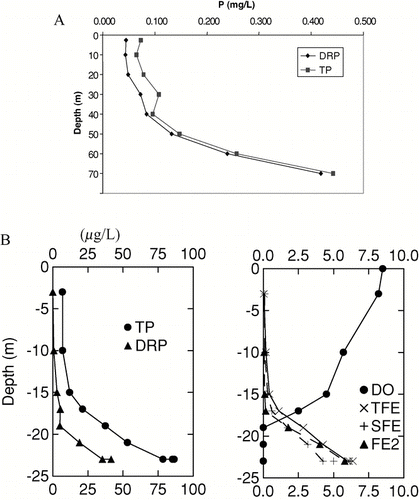 Figure 1 (A) P and DRP profiles at the dam of eutrophic Brownlee Reservoir, Snake River, CO, 11 August 1999; (B) P, dissolved oxygen (DO) and iron profiles (TFE = total; SFe = soluble; FE2 = ferrous) in oligotrophic Chub Lake, Ontario, Sep 13, 1982 (note lake characteristics in Table 2).
